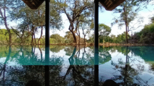 Travel JoziStyle Monwana