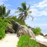 Sara Essop Travel Blogger In Africa and Beyond